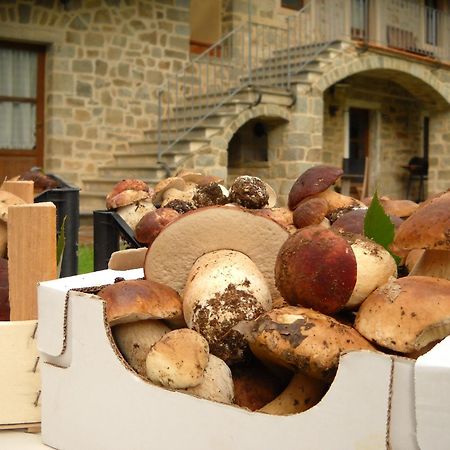 La Casa Del Sarto - Federicofarm Villa Pontremoli Buitenkant foto